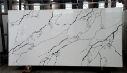 Calacatta Nuvo Quartz