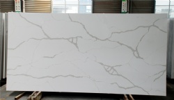 Calacatta Nuvo Quartz