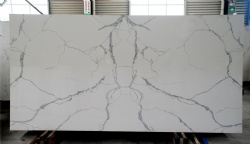 Calacatta Nuvo Quartz