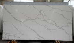 Calacatta Nuvo Quartz