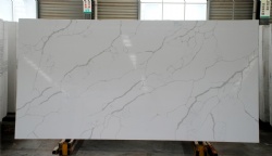 Calacatta Nuvo Quartz
