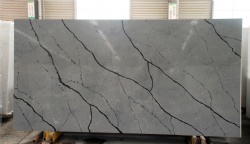 Calacatta Nuvo Quartz