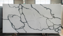 Calacatta Nuvo Quartz