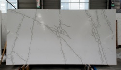 Calacatta Nuvo Quartz