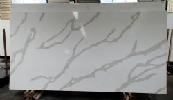 Calacatta Nuvo Quartz