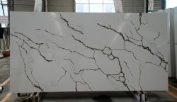 Calacatta Nuvo Quartz