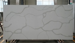 Calacatta Nuvo Quartz