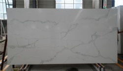 Calacatta Nuvo Quartz