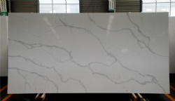 Calacatta Nuvo Quartz