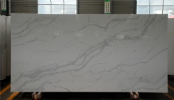 Calacatta Nuvo Quartz