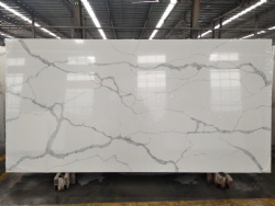 Calacatta Nuvo Quartz