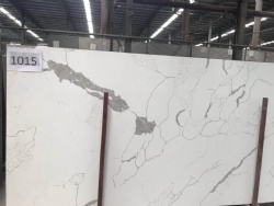 Calacatta Nuvo Quartz