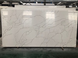 Calacatta Nuvo Quartz