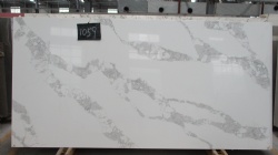 Calacatta Nuvo Quartz