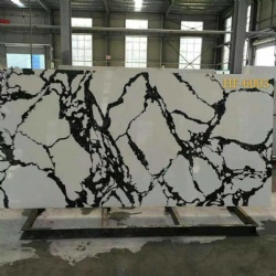 Calacatta Nuvo Quartz